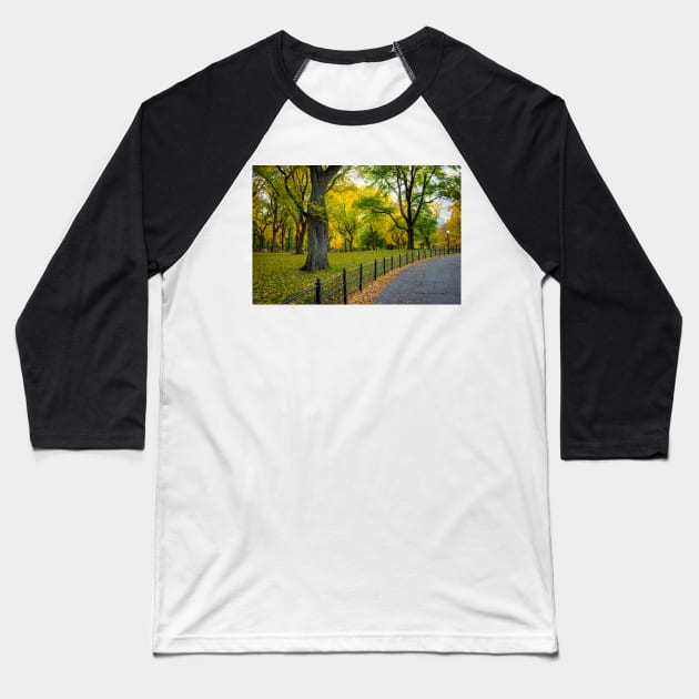 Fall Path in the Park Baseball T-Shirt by andykazie